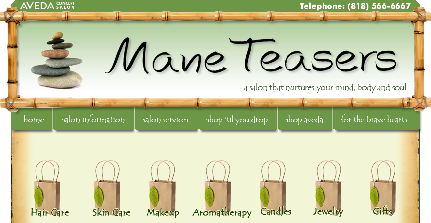 Mane Teasers   |  Aveda Concept Salon   |  Burbank