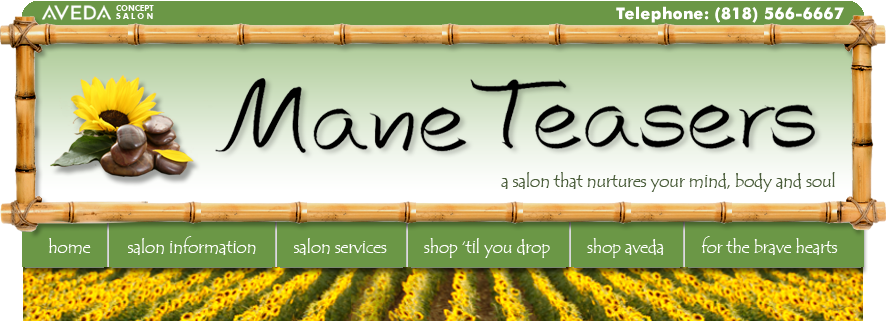 Mane Teasers   |  Aveda Concept Salon   |  Burbank