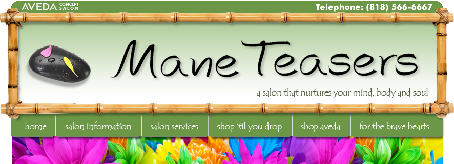 Mane Teasers   |  Aveda Concept Salon   |  Burbank